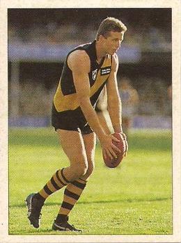 1992 Select AFL Stickers #196 Jeff Hogg Front